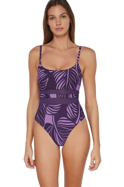 Alexia Mesh One Piece Swimsuit