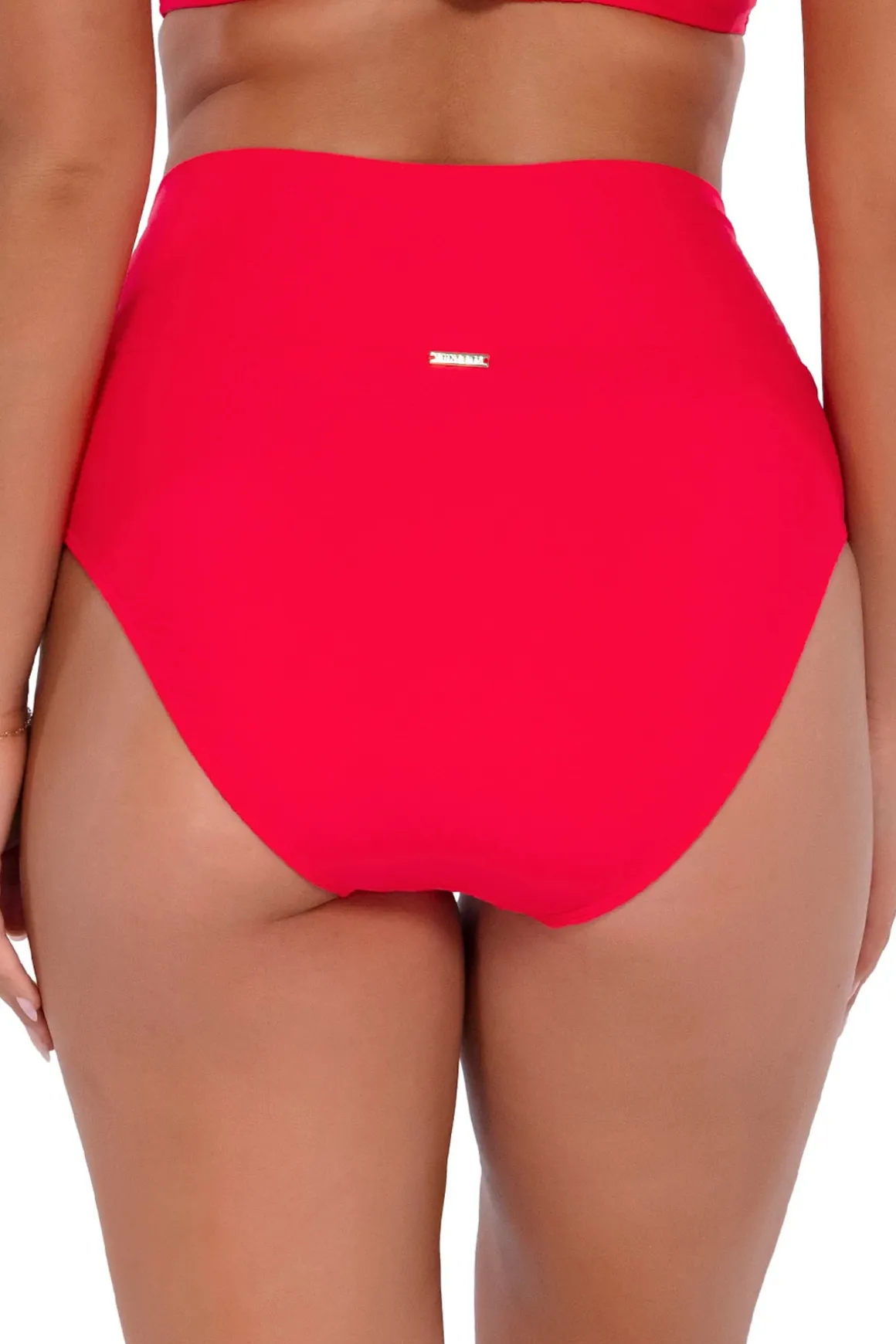 Hannah Banded High Waist Bikini Bottom