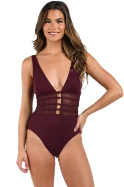 Mesh Plunge One Piece Swimsuit