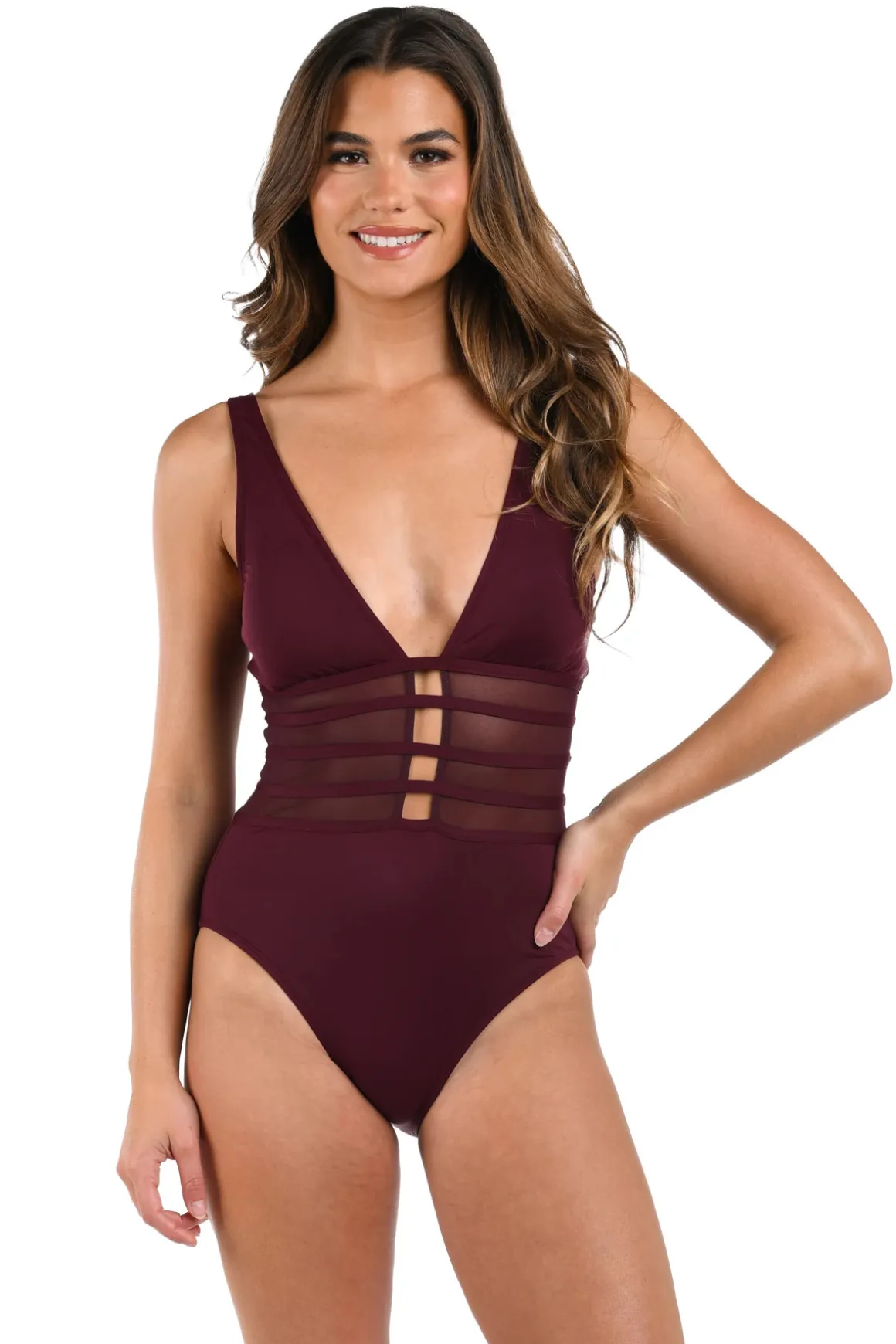 Mesh Plunge One Piece Swimsuit