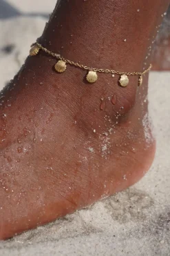 Regina Shell Anklet